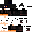 TheBlindedShadow classic skin texture