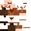 0mnimorris classic skin texture
