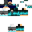 MrPicklezYT classic skin texture
