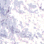 Panickew classic skin texture