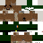 poopoonica classic skin texture