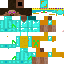 WillthewiseD classic skin texture