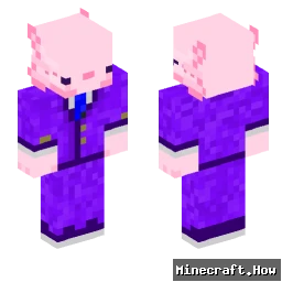 RokiLotl - Minecraft skin