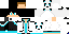 McPixelator classic skin texture