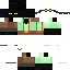 Ciorn classic skin texture