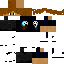 SvetozarR classic skin texture