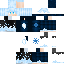 DaWizardBoi Minecraft skin preview