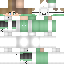 _6L classic skin texture