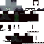 swagpigeon55 classic skin texture
