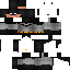 Unknown Skin classic skin texture