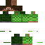 Unknown Skin classic skin texture