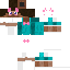 Unknown Skin classic skin texture