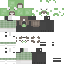 Unknown Skin Minecraft skin preview