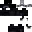 Unknown Skin classic skin texture