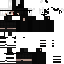 Unknown Skin classic skin texture