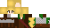 SarahSwims classic skin texture