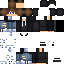 SanderDePinguin classic skin texture