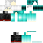 PoolPartys classic skin texture