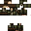 ProblemSolved Minecraft skin preview