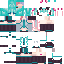 RobinDc classic skin texture