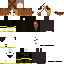 RacconTrash classic skin texture