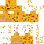 coolkiddo69 classic skin texture