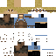fusion classic skin texture