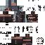 Dixtion classic skin texture