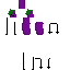 Eggplant50 classic skin texture