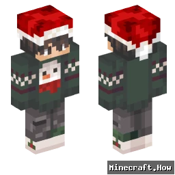 DashASF_V2 - Minecraft skin