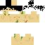 carpenter_npc Minecraft skin preview