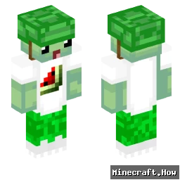 Koshi_11 - Minecraft skin