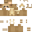 Ginny9465 Minecraft skin preview
