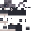 Servers Minecraft skin preview
