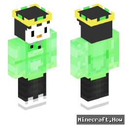 WarmerPenguin - Minecraft skin