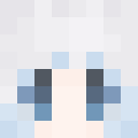 AlsaceVAN classic skin texture