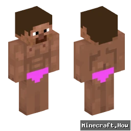 SoinCRAFT - Minecraft skin