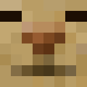 tralalalerotrala classic skin texture