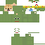 homerrek Minecraft skin preview