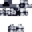 TheRealCarvs Minecraft skin preview