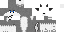 Raimon classic skin texture