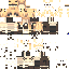 CamouFlac classic skin texture