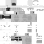 Ratlinnn classic skin texture