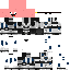 2PSD2 classic skin texture