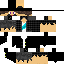 PM11 classic skin texture