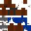 WarriiWarrii classic skin texture