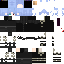 ShieldSEpicBr classic skin texture