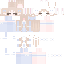 Minster classic skin texture
