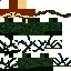 Stannid classic skin texture