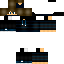 ArrowXTmstR8420 classic skin texture
